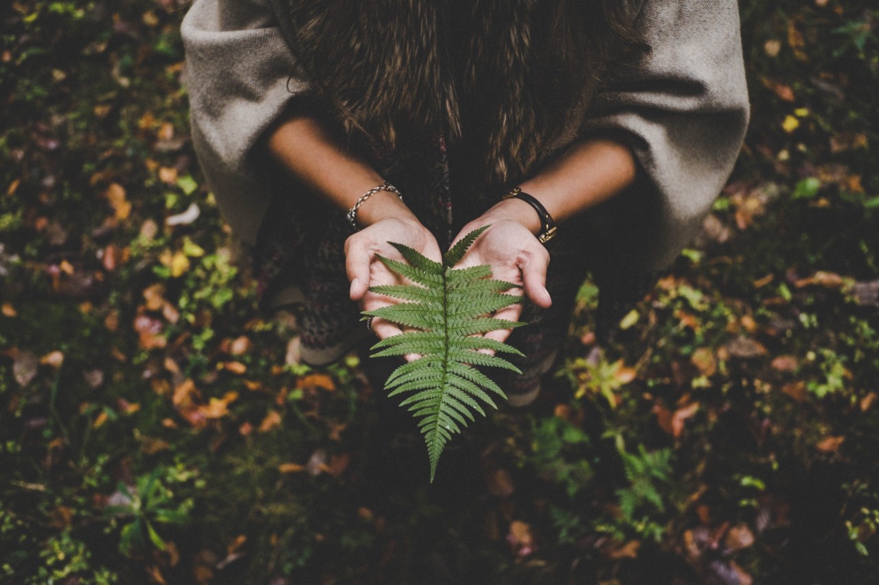 WYD 2016: for an integral ecology