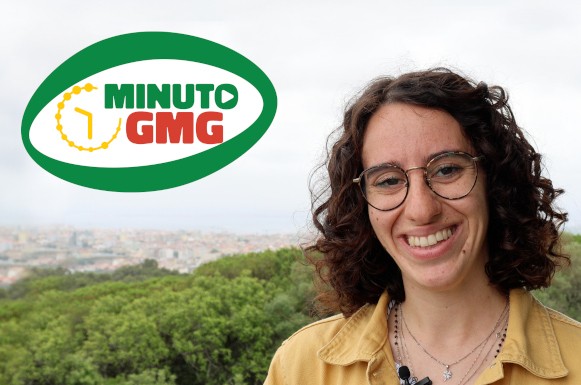 Sustainability and Care for Creation in the WYD Minute